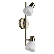 Спот Arte Lamp PARRY A5062AP-2AB 40Вт 2 лампы E14
