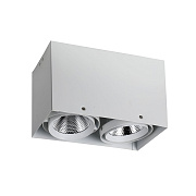Светильник потолочный Favourite Flashled 1986-2U 24Вт LED