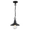 Светильник фасадный Odeon NATURE 4965/1 60Вт IP44 E27 чёрный