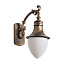 Светильник фасадный Arte Lamp VIENNA A1317AL-1BN 75Вт IP44 E27 золотой/чёрный