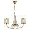 Светильник подвесной Evoluce ELLISSE SLE1119-303-03 120Вт E14