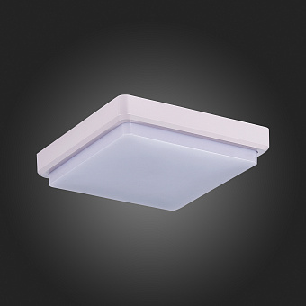 Светильник потолочный Evoluce TADDIO SLE200212-01 20Вт LED