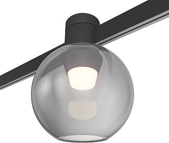 Магнитный трековый светильник ST Luce FARM ST819.406.03 3Вт LED дымчатый