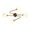 Светильник потолочный Evoluce FANTINI SLE2211-302-04 20Вт G9