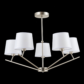 Светильник потолочный Evoluce DENICE SLE300102-05 200Вт E14