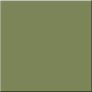 Матовый керамогранит ESTIMA Rainbow RW06/NS_R9/60x60x10R/UC зелёный 60х60см 1,44кв.м.