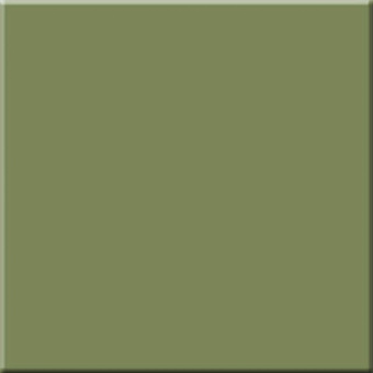 Матовый керамогранит ESTIMA Rainbow RW06/NS_R9/60x60x10R/UC зелёный 60х60см 1,44кв.м.