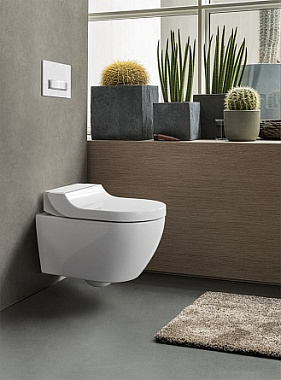 Унитаз с функцией биде GEBERIT Tuma Comfort 146.294.SI.1 с микролифтом