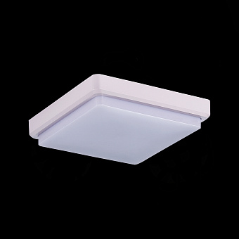 Светильник потолочный Evoluce TADDIO SLE200212-01 20Вт LED