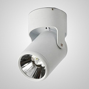 Светильник потолочный ImperiumLOFT Fun 228961-26 12Вт LED