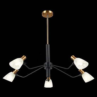 Светильник подвесной Evoluce LITA SLE205403-05 300Вт E14