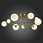 Светильник потолочный Evoluce FANTINI SLE2211-302-09 45Вт G9