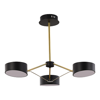 Светильник потолочный Evoluce VALLE SLE6005-402-03 30Вт LED