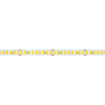 Светодиодная лента Arlight 040246 19,2Вт/м 5000мм IP20 холодный белый свет