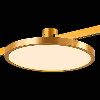 Магнитный трековый светильник ST Luce FARM ST818.206.12 10Вт LED белый