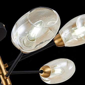 Люстра потолочная Evoluce GLOA SLE155502-06 40Вт 6 лампочек E14
