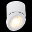 Светильник потолочный ST Luce ST654.532.10 10Вт LED