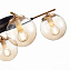 Светильник потолочный Evoluce LITERNO SLE106902-04 160Вт E14