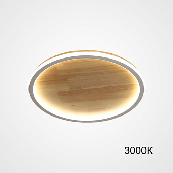 Светильник потолочный ImperiumLOFT Dolan 223946-23 23Вт LED