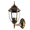 Светильник фасадный Arte Lamp PEGASUS A3151AL-1BN 60Вт IP44 E27 золотой/чёрный