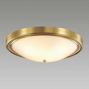 Светильник настенно-потолочный Lumion NINA 5259/4C 240Вт E27
