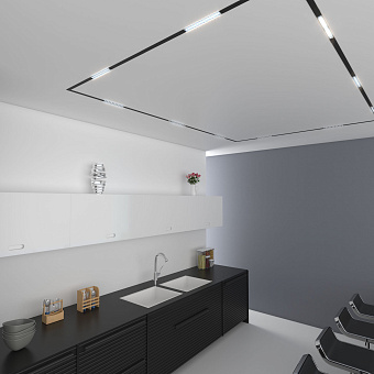 Магнитный трековый светильник Elektrostandard a057193 85005/01 12Вт LED чёрный