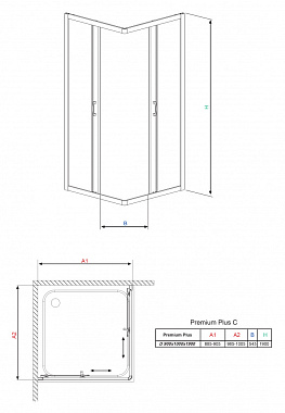 Угловое ограждение RADAWAY Premium Plus A 90/170 170х90см стекло прозрачное