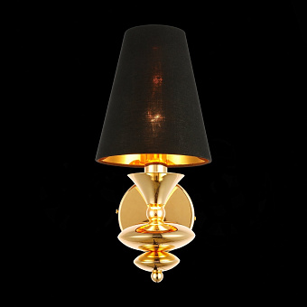 Светильник настенный Evoluce RIONFO SL1137.201.01 40Вт E14