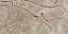 Полированный керамогранит REX Nature Mood 774902 Rainforest Glossy 60х120см 2,16кв.м.