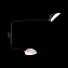 Светильник настенный ST Luce SPRUZZO SL305.401.02 120Вт E27