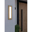 Светильник фасадный EGLO BITETTO 900679 7Вт IP44 LED коричневый