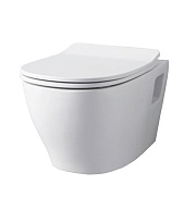 Сиденье для унитаза ArtCeram TEA005 bi с микролифтом