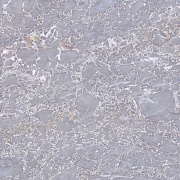 Напольная плитка BERYOZA CERAMICA Batu 599556 асфальтовый 41,8х41,8см 1,4кв.м. глянцевая