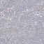 Напольная плитка BERYOZA CERAMICA Batu 599556 асфальтовый 41,8х41,8см 1,4кв.м. глянцевая