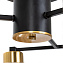 Люстра потолочная Arte Lamp LEO A7027PL-8BK 40Вт 8 лампочек E14