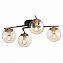 Светильник потолочный Evoluce LITERNO SLE106902-04 160Вт E14
