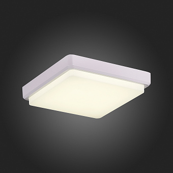 Светильник потолочный Evoluce TADDIO SLE200212-01 20Вт LED