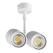 Светильник потолочный Lightstar Rullo 214446 100Вт GU10
