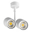Светильник потолочный Lightstar Rullo 214446 100Вт GU10