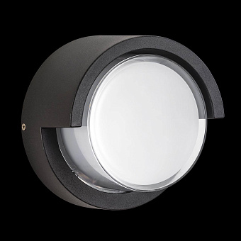Светильник фасадный Lightstar Paletto 382173 15Вт IP54 LED чёрный