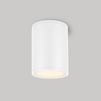 Светильник фасадный Arlight Forma 037259 12Вт IP54 LED белый