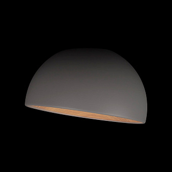 Светильник потолочный Loft It Egg 10197/350 Grey 24Вт LED