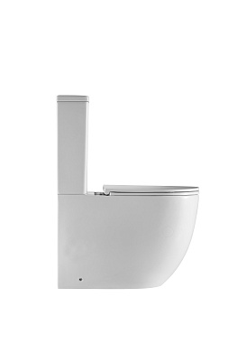 Унитаз напольный D&K DT1397016 безободковый с микролифтом