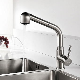 Смеситель для кухни WASSERKRAFT Wern 4266 выдвижной излив никель