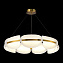 Люстра подвесная ST Luce ETOILE SL1304.203.56 56Вт 1 лампочек LED
