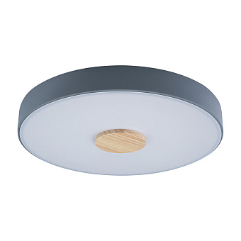 Светильник потолочный Loft It Axel 10003/24 Grey 24Вт LED