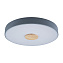 Светильник потолочный Loft It Axel 10003/24 Grey 24Вт LED