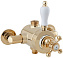 Смеситель для душа CAPRIGO ANTIQUE 04-070-oro золото