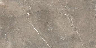 Настенная плитка Global Tile Siluet GT GT122VG коричневый 25х50см 1,375кв.м. глянцевая