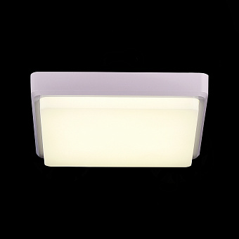 Светильник потолочный Evoluce TADDIO SLE200212-01 20Вт LED